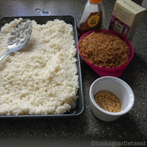 Caramelised-Coconut-Rice-Ingredients